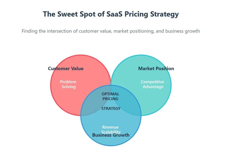File:Sweet spot of saas.jpg