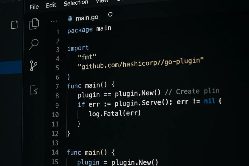 File:I Don’t Need to Rewrite Go.jpg