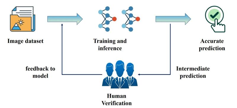 File:Overview of general human-in-the-loop.jpg